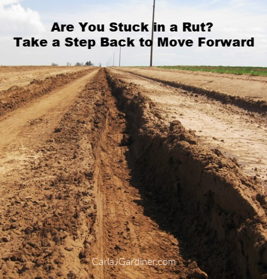 Are You Stuck in a Rut Take a Step Back to Move Forward